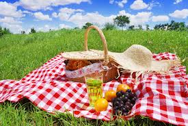 picnic2